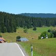 Schwarzwald 2022 - 050